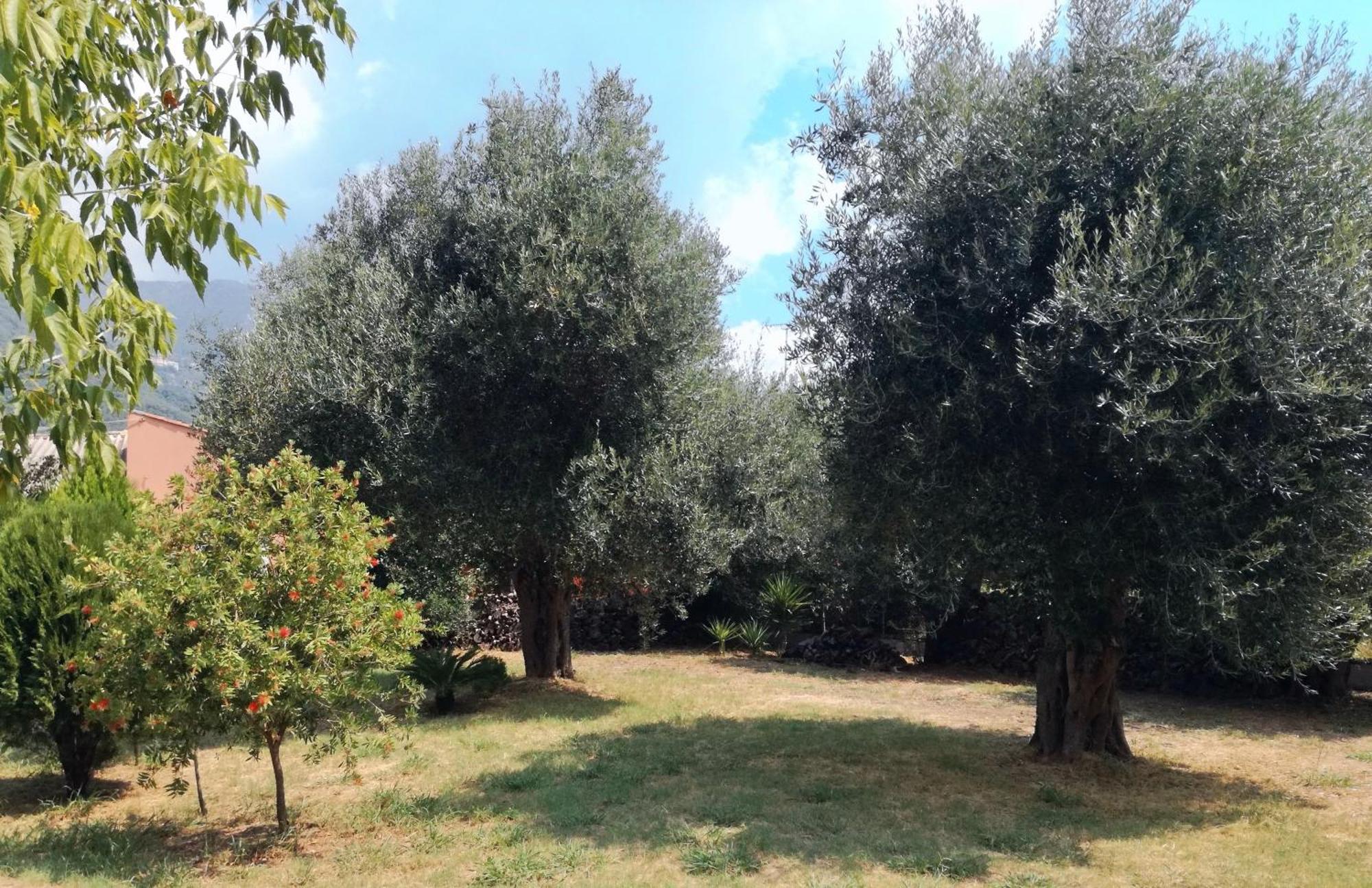 Villa Valia Seaside Ipsos Bagian luar foto